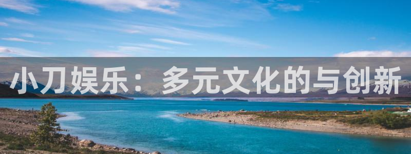 环球360私网代理合作：小刀娱乐：多元文化的与创新