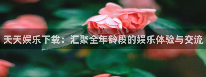upload/20250701114914.jpg