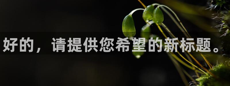 upload/20250701114914.jpg
